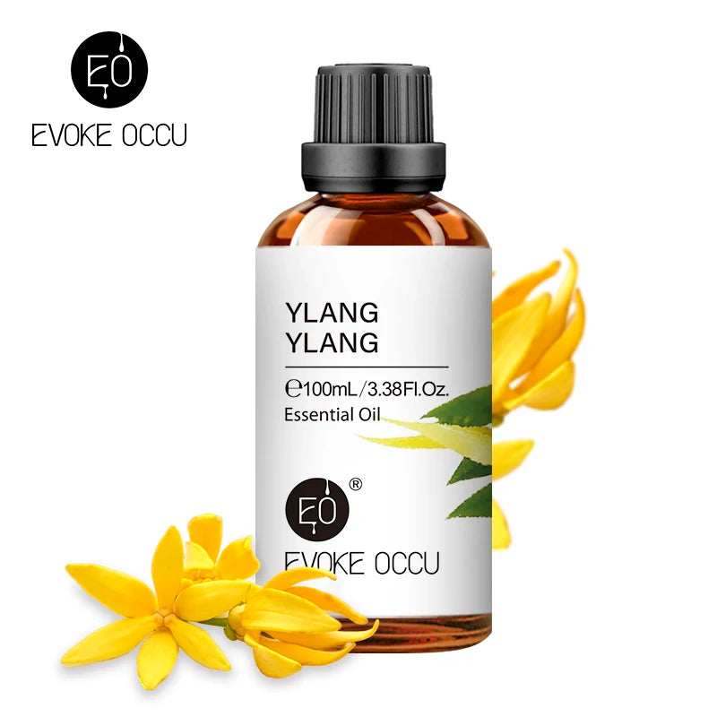 EVOKE Essential Oils Collection 100ml - Lavender Vanilla Eucalyptus Premium