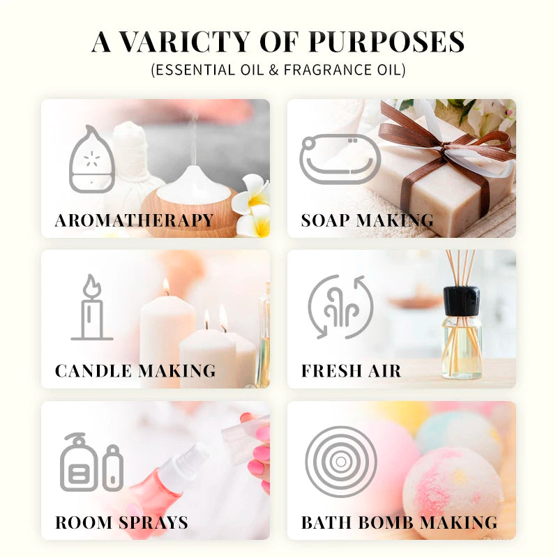 EVOKE Essential Oils Collection 100ml - Lavender Vanilla Eucalyptus Premium