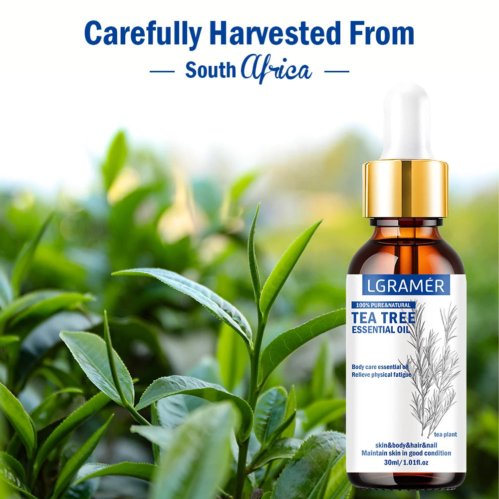 Premium Tea Tree Essential Oil 30ml - Aromatherapy Muscle Massage