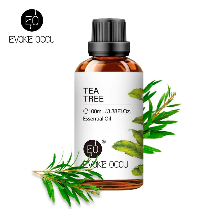 EVOKE Essential Oils Collection 100ml - Lavender Vanilla Eucalyptus Premium