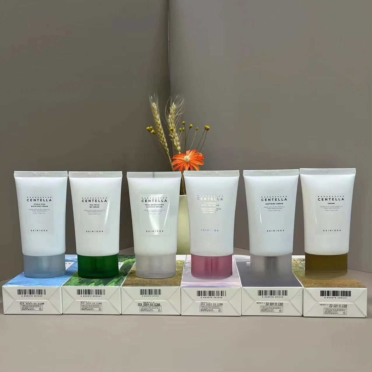 SKIN1004 Crème Centella Asiatica 6 Couleurs - Hydratante Raffermissante 75ml