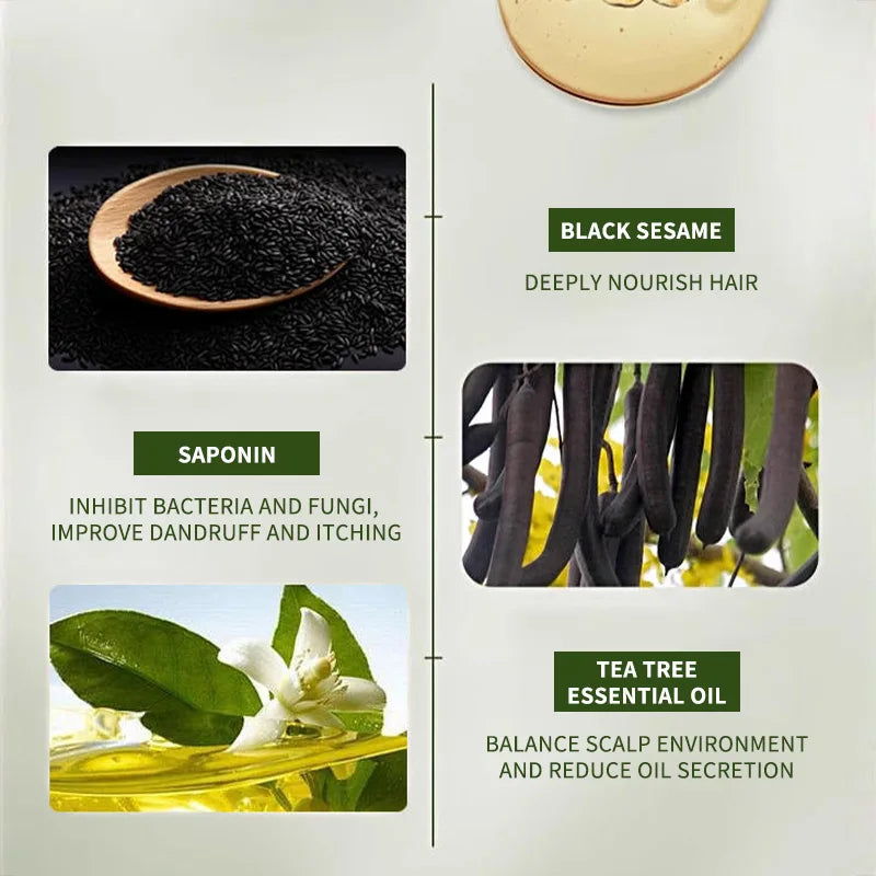 Shampooing Naturel aux Herbes - Anti-Chute Cheveux