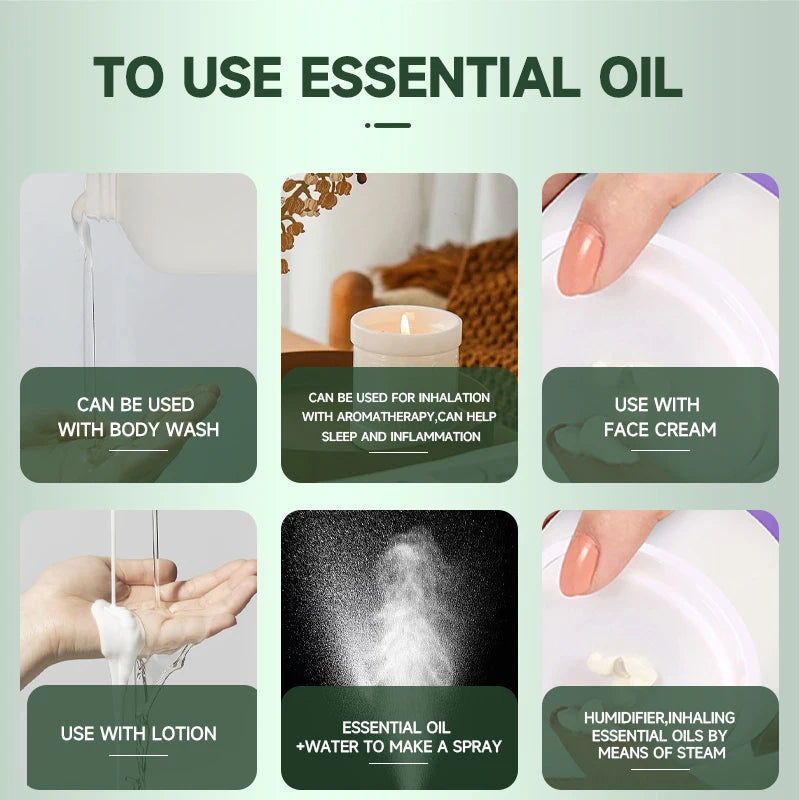 Rosemary Dried Flower Oil 60ml - Multipurpose DIY Aromatherapy
