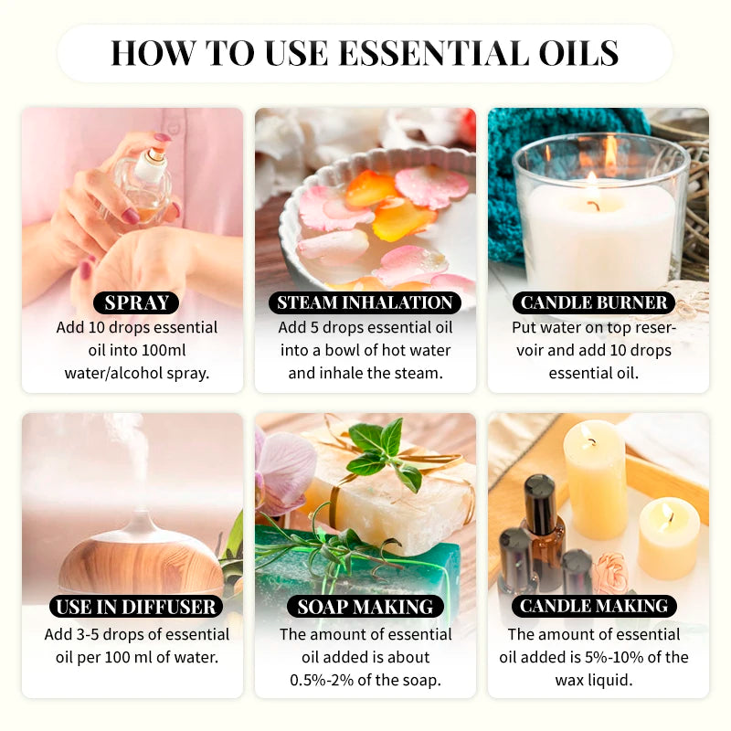 EVOKE Essential Oils Collection 100ml - Lavender Vanilla Eucalyptus Premium